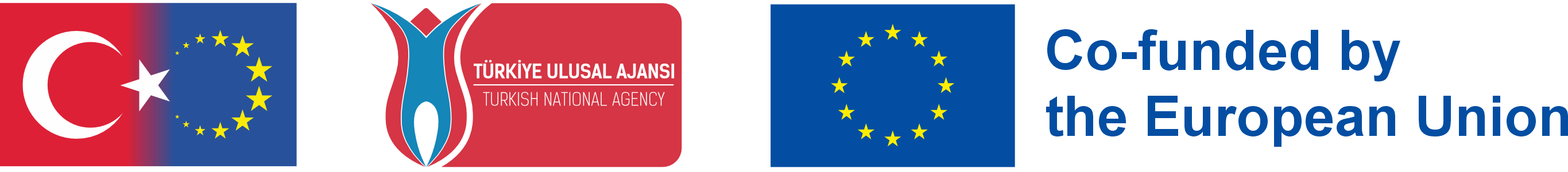 Co-funded by the European Union - Türkiye Ulusal Ajanısı
