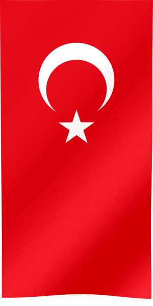 Türkçe
